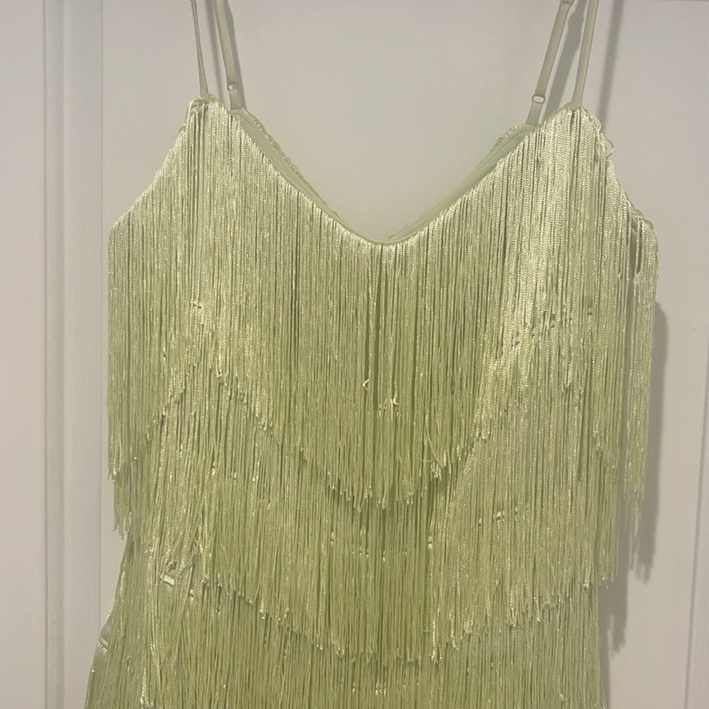 House of Harlow 1960 fringe dress - Picture 8 of 11